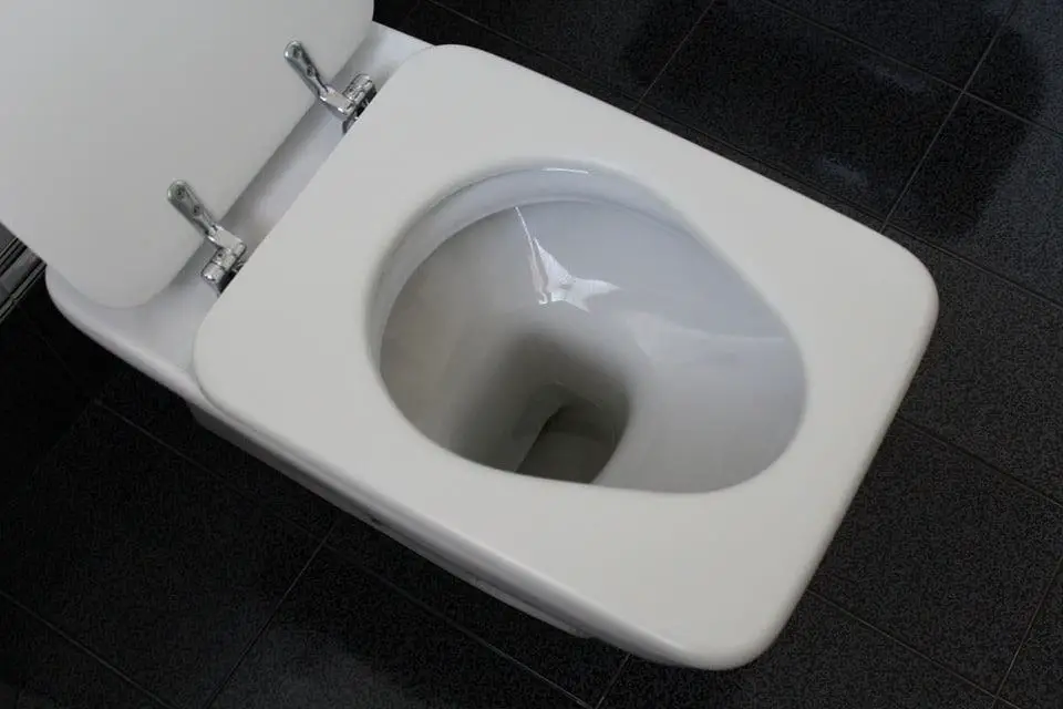 toilet bowl