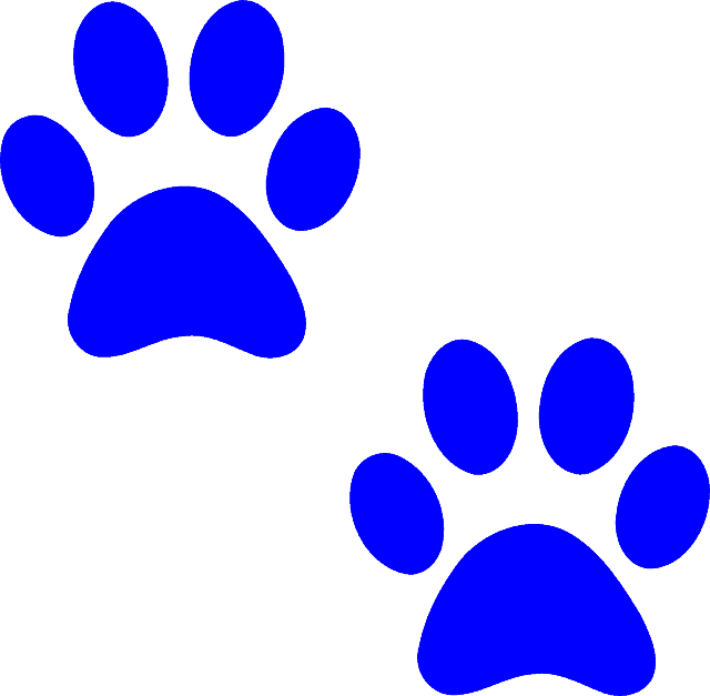 blue paw prints